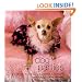 Dog Parties: Entertaining Your Party Animals
