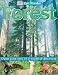 Search : Forest (Eye Wonder)