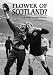 Flower of Scotland?: A Scottish Football Odyssey