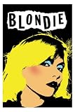 Blondie Punk Fridge Magnet-7.5cm x 5cm Clear Acrylic-Set of 2