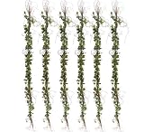 SIX Artificial 6' Grape Ivy Garland with Twigs _Green