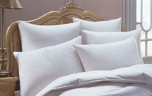 Jasper Premium Two White Goose Down Pillow  Pillow 