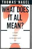 What Does It All Mean?: A Very Short Introduction to Philosophy