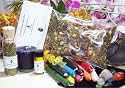 Spell Kit: Fairy Magick Starter