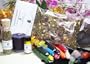 Spell Kit: Fairy Magick Starter