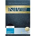 Holy Bible (New International Version, Mahogany/Caramel, Italian Duo-tone, Archaeological Study Bible, Personal Size) (Updated) (Paperback)