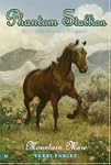 Phantom Stallion #17: Mountain Mare