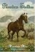 Phantom Stallion #17: Mountain Mare (Phantom Stallion)