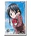 ブシロードスリーブコレクションHG (ハイグレード) Vol.108 劇場版そらのおとしもの 時計じかけの哀女神(エンジェロイド) 『風音 日和』