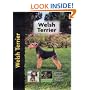 Welsh Terrier