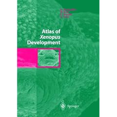 Atlas of Xenopus Development