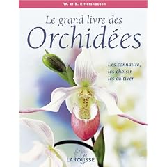 51T95K8BN6L._SL500_AA240_