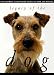 Legacy of the Dog: The Ultimate Illustrated Guide to Over 200 Breeds