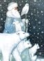 Arctic Santa (Holiday Cards)