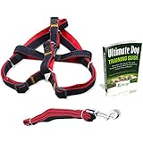 Olivery Dog Leash and Adjustable Harness Double Padded Solid Easy Stepin Fit Medium Dogs Free Dog Training Ebook