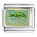 Animal Florida Crocodile Italian Charms Bracelet Link