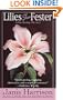 Lilies That Fester