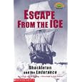 Escape from the Ice: Level 4