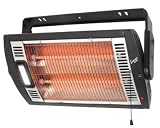 Howard Berger Ceiling-Mount Quartz Heater - 5120 BTU, 1500 Watts, Model# 125115