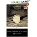 Life Is a Dream (Penguin Classics)