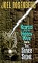 The Silver Stone: Keepers of the Hidden Ways Book Two (Pendragon Cycle)