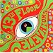 The Psychedelic Sounds of the 13th Floor Elevators [Vinyl]