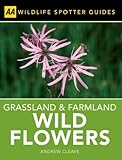 Grassland & farmland wild flowers