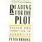Literary Criticism on the Novel