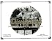Disney Years Seen Through a Photographer's Lens by Carlene Thie