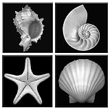 Black and White Nautical Photography Wall Plaque Set