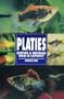Platies: Keeping and Breeding Them in Captivity