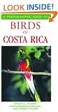 Birds of Costa Rica (Photographic Guide to...)