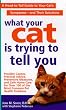 What Your Cat Is Trying To Tell You
