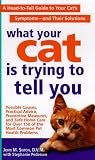 What Your Cat Is Trying To Tell You