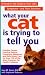 What Your Cat Is Trying To Tell You