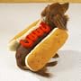 SMALL - KETCHUP - Hot Dog Halloween Costume
