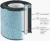 Replacement Filter for the Allergy Machine from Austin Air
