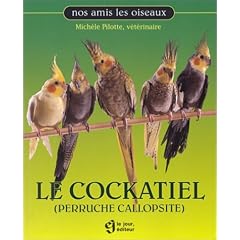 Le Cockatiel  (Perruche callopsite)