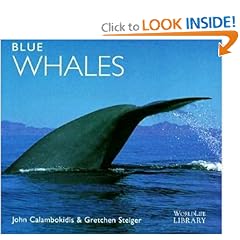 Blue Whales (WorldLife Library Series)