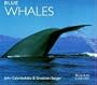 Blue Whales (WorldLife Library Series)