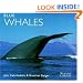 Blue Whales (WorldLife Library Series)