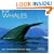Blue Whales (WorldLife Library Series)