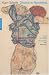 Egon Schiele : Dessins et aquarelles Egon Schiele : Dessins et aquarelles
