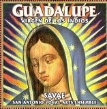 Guadalupe: Virgen de los Indios