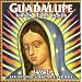 Guadalupe: Virgen De Los Indios
