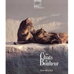 Les Chats du bonheur