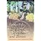 Suggested Reading for Feminist Book Groups Part I