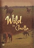 Wild in Corolla (Wild Horses of North Carolina`s Outer Banks)