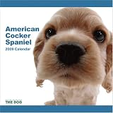 American Cocker Spaniel 2009 Wall Calendar by THE DOG Artlist Collection