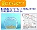 NEWバスパ スケルトン色 別画像
